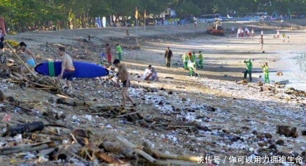 长滩潜水遭遇反胃一幕，濒危绿海龟竟在水下排污管觅食