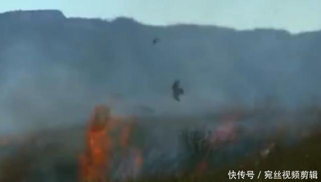 澳大利亚山火什么时候结束