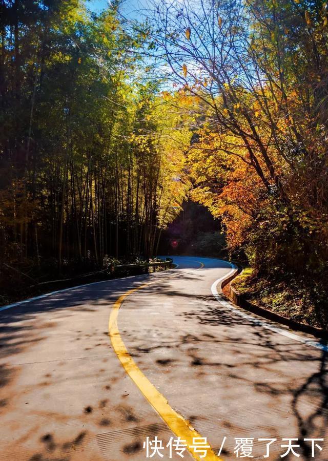 安徽旅游：大山深处一抹红，马丁公路、马鬃岭秋色美翻了