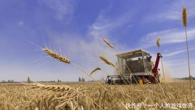 粮价突变19年补贴定不得超过300元亩！直接打卡！