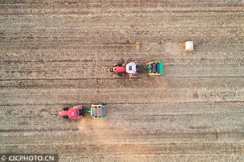  山东省|防疫不误农时 全国各地奏响春天“交响曲”