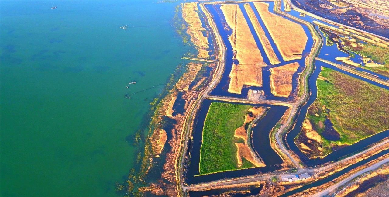 我国最大的内陆淡水湖，十年间减少一半，有“瀚海明珠”之称