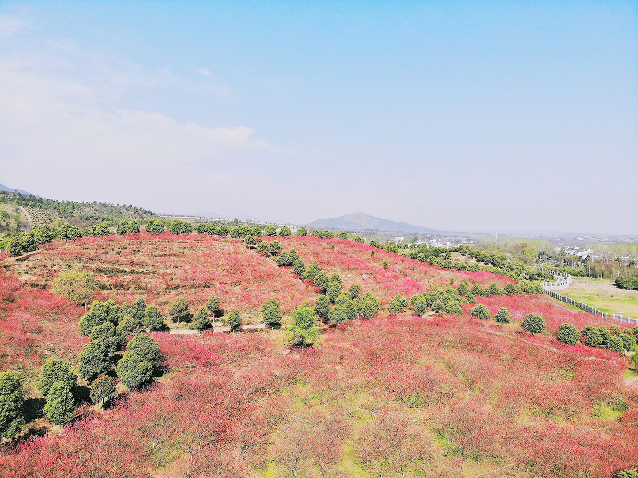 武汉周边游3??丨黄陂赏花和登山徒步，推荐这四个景区必须打卡