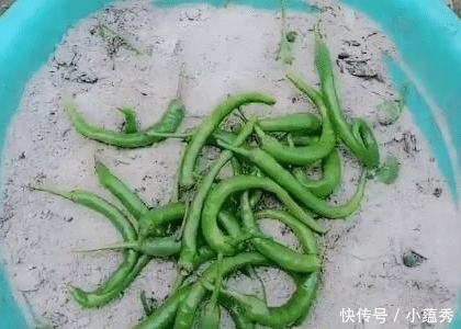 辣椒■夏天辣椒正便宜,这样“埋”起来,放半年都不成问题,冬天不用花高价买!