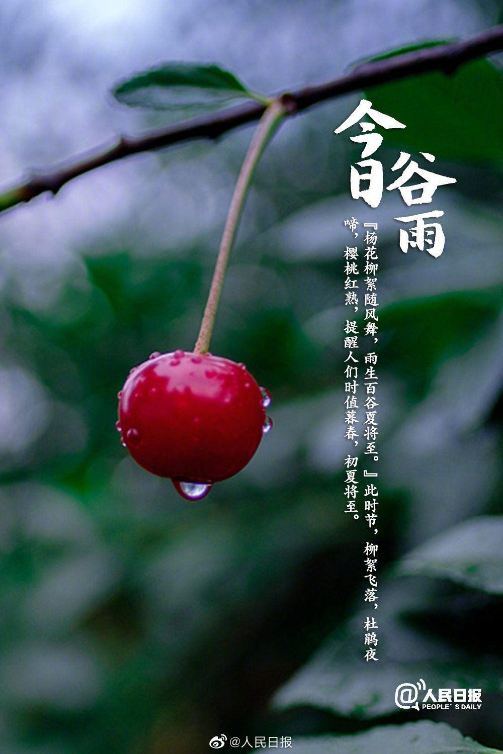  迎接@今日谷雨，你准备好迎接夏天了吗？