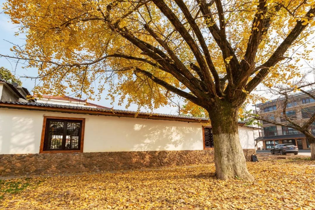 10个藏在深山人不知的古村落，却是世外桃源