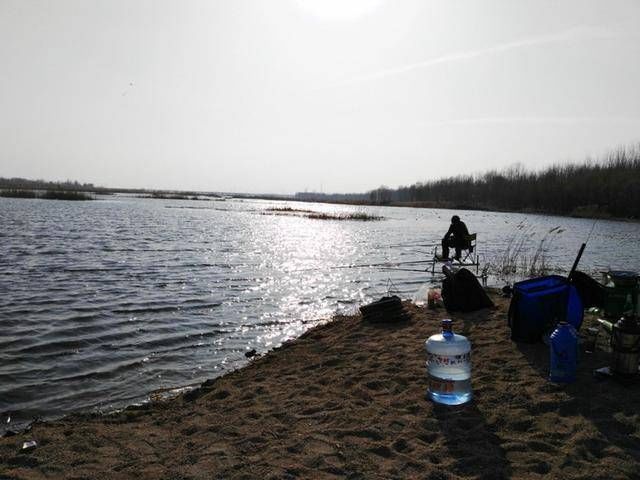 『情况』不打窝渔获好,打窝后反而没渔获,到底是什么情况