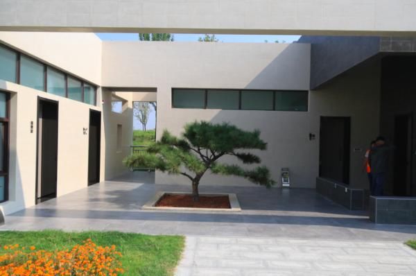  类公厕|郑州街头已有1000座公厕配厕纸，350座公厕24小时开放