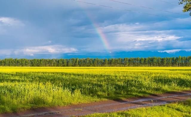 喜欢自驾吗？这十条线路你一定有喜欢的
