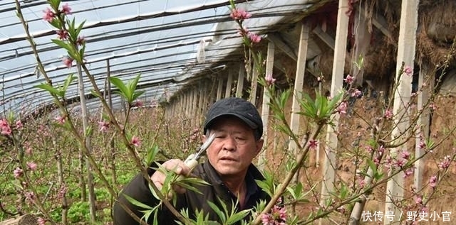  「休息」63岁农村大爷宁让40岁儿子在家休息，也不让他干农活，