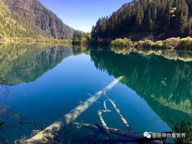 再见@于2020回忆再也讲不出再见的2017