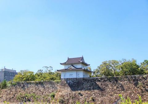  『丰臣秀吉』日本三大名城之一，400多年历史，如今变成一座公园