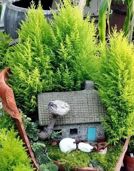 「生活中发现不寻常」美起来!打破了个花盆,长出一个春天
