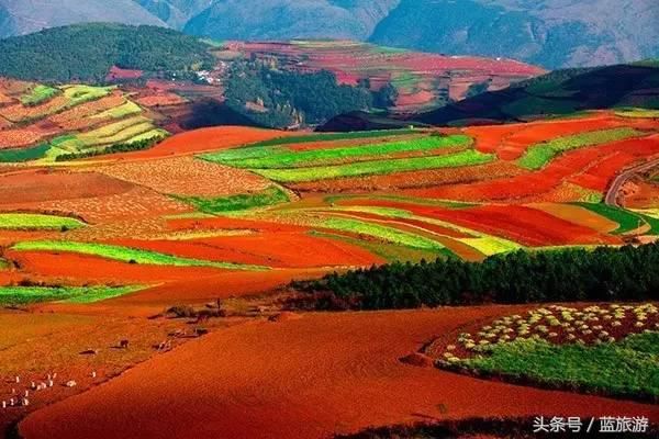 有一种心情，叫做突然想去云南！