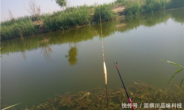  『调目』调漂技巧：调漂不准，可能是这些“坏”习惯导致的！