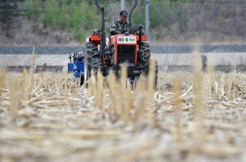  「吉林」视窗 | 吉林：确保粮食播种面积稳定在8500万亩