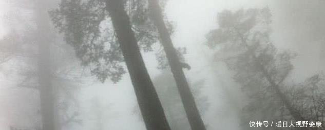  「我国」“黄泉路”出现了在我国被列为禁区，种种怪象科学都无