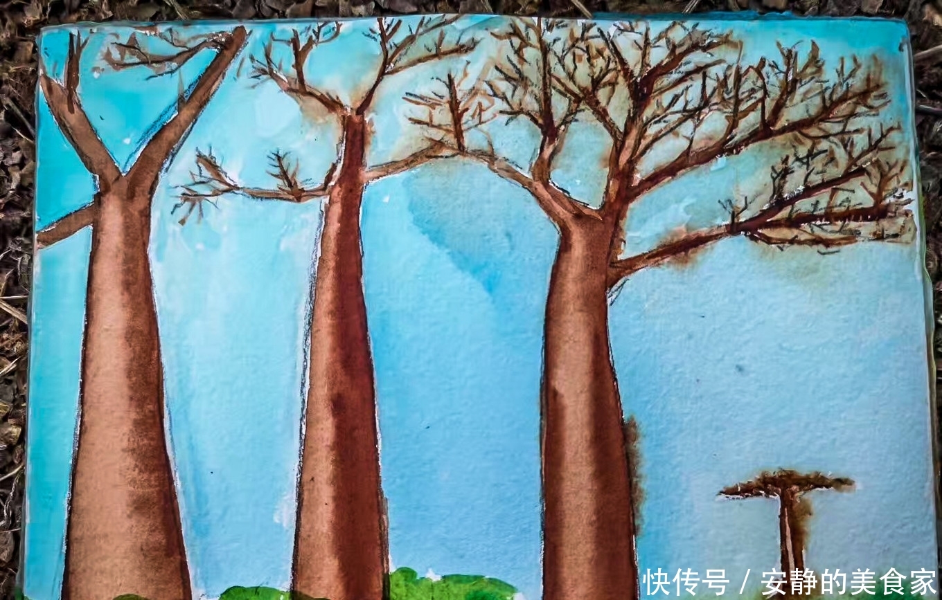 非洲穆隆达瓦，猴面包树的故乡，体验原汁原味马岛生活