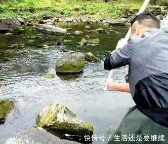 老一辈才懂的捕鱼神技，不用网不用钩不做陷阱照样捕一筐鱼