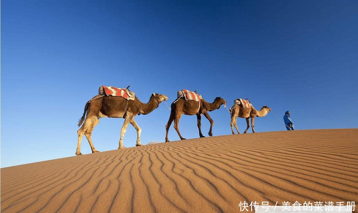 我国沙漠中储藏着大量石油, 为何不开采出来 专家的回答意想不到