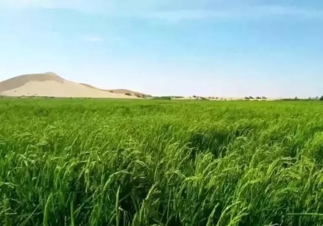 最让国人骄傲的中国奇迹，厉害了我的国