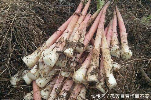 有种野味三十年前泛滥成灾，农村到处都是，现在卖60一斤