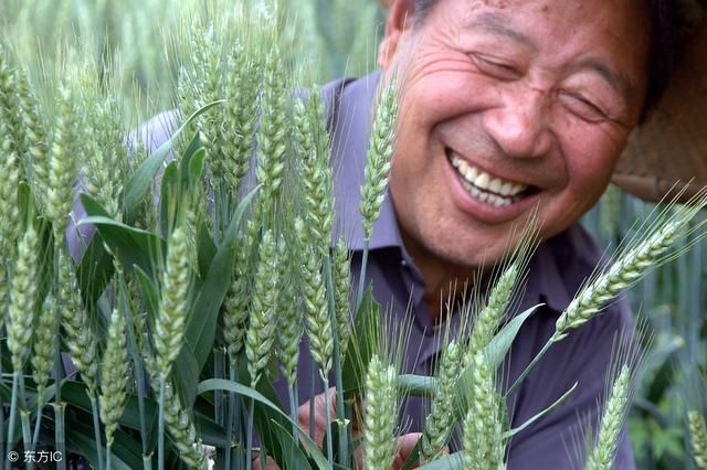 根据国家补贴政策，这项补贴下六月停止发放，农民朋友可別忘了