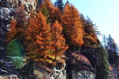 山西适合赏秋的旅行地，浓浓秋意，犹如一幅幅巨大的油画