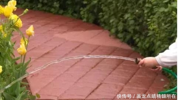  「花盆」浇水到底该怎浇？新手养花不知道，高手养花从不提