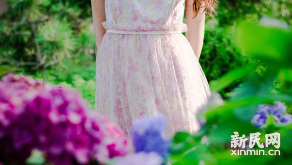 晨读|翩翩荷叶,在裙裾,在腕边