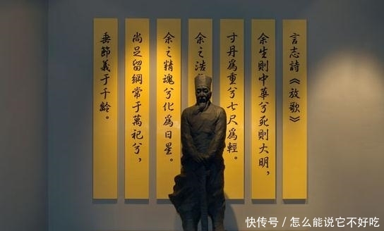 『郑成功』才华横溢的儒将，为国尽忠以身殉国，最后却因叛徒被捕遗憾身亡