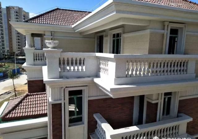  [有钱]7款农村别墅实拍, 第4款像宫殿, 有钱真的可以为所欲为