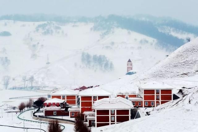 初冬已至，降温来袭 | 陕西这些地方已经下雪啦！想看雪景的走起
