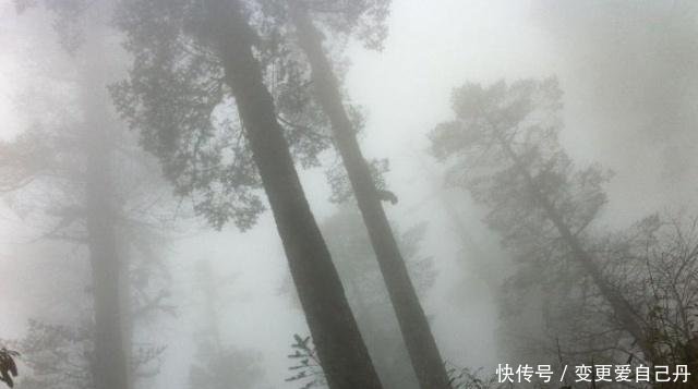 在我国西南山区有条“神秘”之路，荒无人烟，被人类列为“禁区”