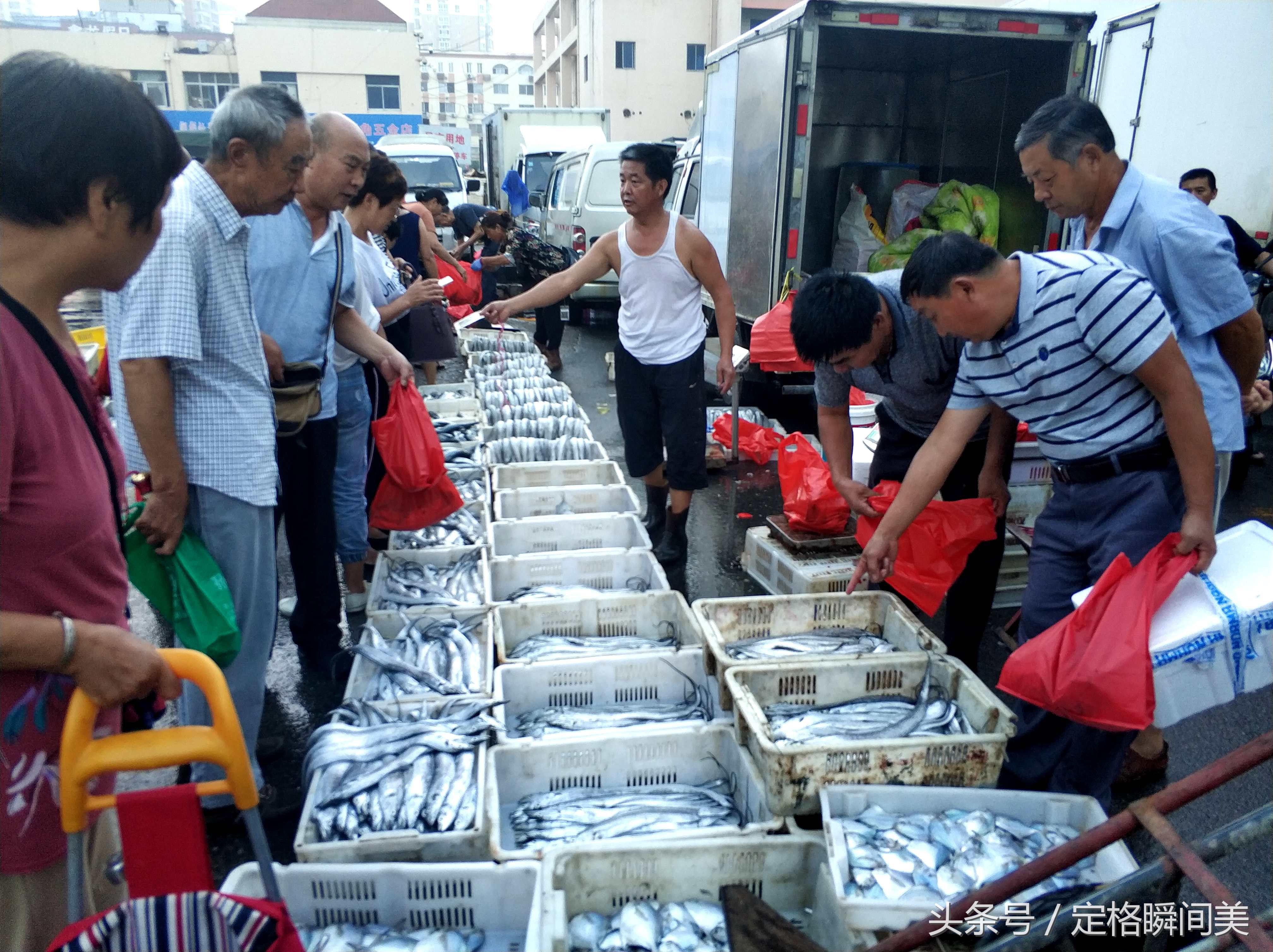 开小海 早市海鲜丰富 纯海捕大虾100元一斤 