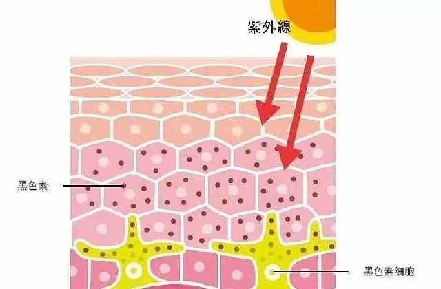  『皮肤』不同季节，不同类型的皮肤，其适用的护肤方法也是不同的