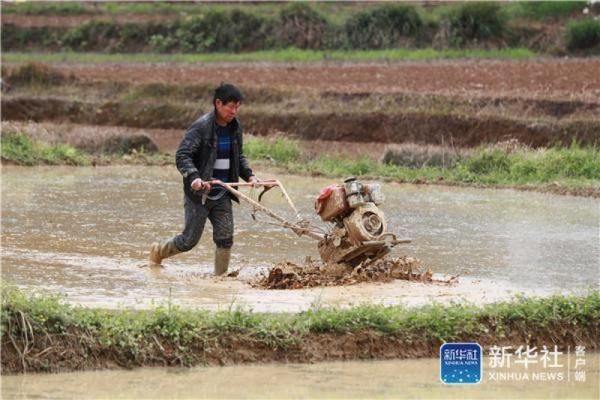  『农民在贵州省』贵州玉屏：坝区产业突出个性化与规模化