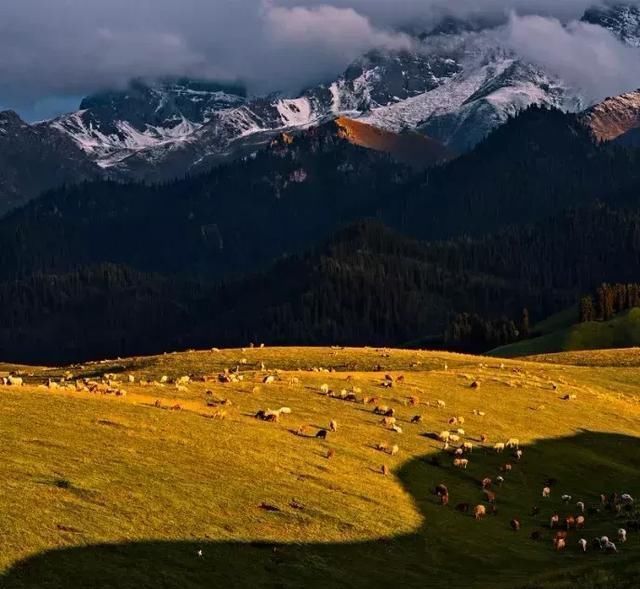 距乌市1h，新发现一条绝美天路，竟然美过独库！