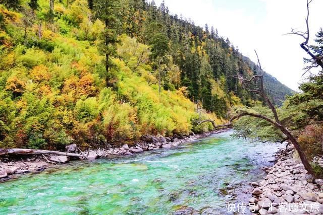 林芝的秋天，才是你最不该错过的天堂，有一百种秋色等你pick