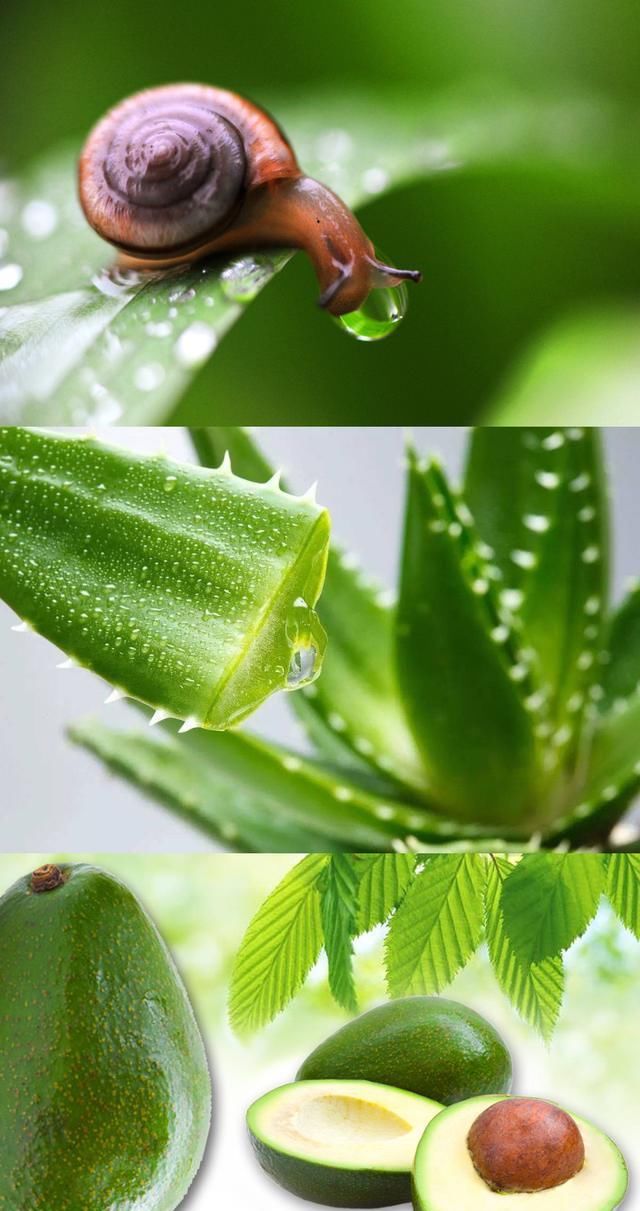 这款“白色乳膏”火了,10秒就让大叔变身小鲜肉,药店月售3万瓶