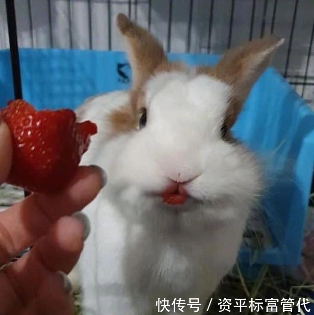  位网友：“网购一个卷发棒，客服叫我亲，结果....”这是什么沙雕操作？哈哈哈哈