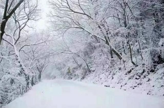 西安一下雪就变回长安 雪拥四大景区 千年梦回秦岭