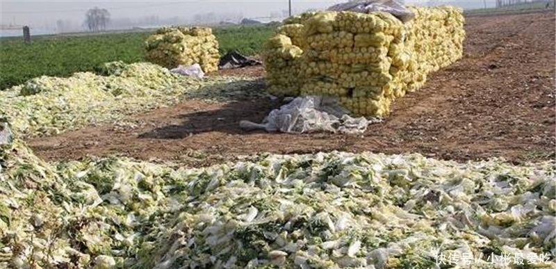  毛钱：一斤不到2毛钱，堆成山没法卖，农民：亩亏数百元，年难过
