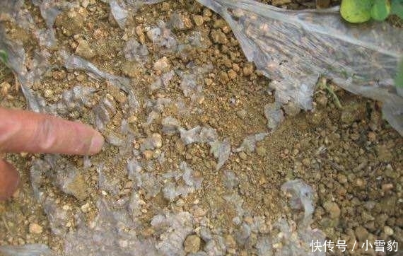  严惩@19年开始, 两项新规将执行, 3类人将被严惩, 独生子女户有