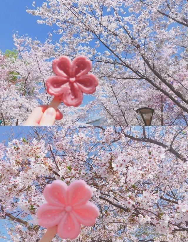 故宫新出的雪糕美上天！“带着雪糕去打卡”，你们真的太会玩了