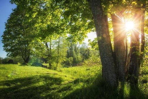 这个公园里，还藏着一个房子