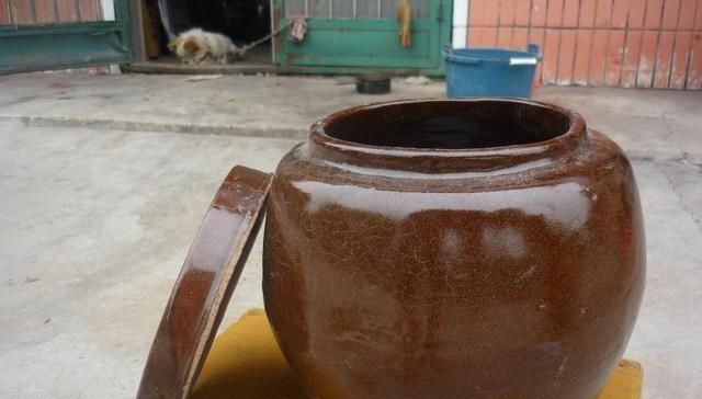  「庭院」农村这些消失的老物件，个个都是宝贝了！放在庭院里养