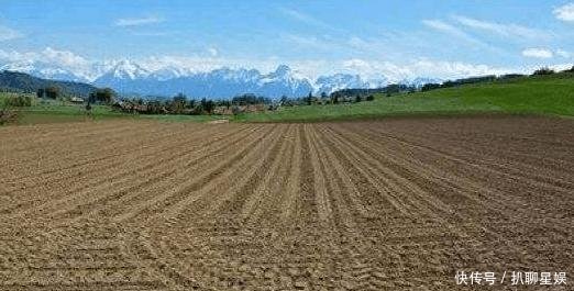 农村这项补贴翻倍, 每亩800元左右, 直补到户, 村干部不再经手!