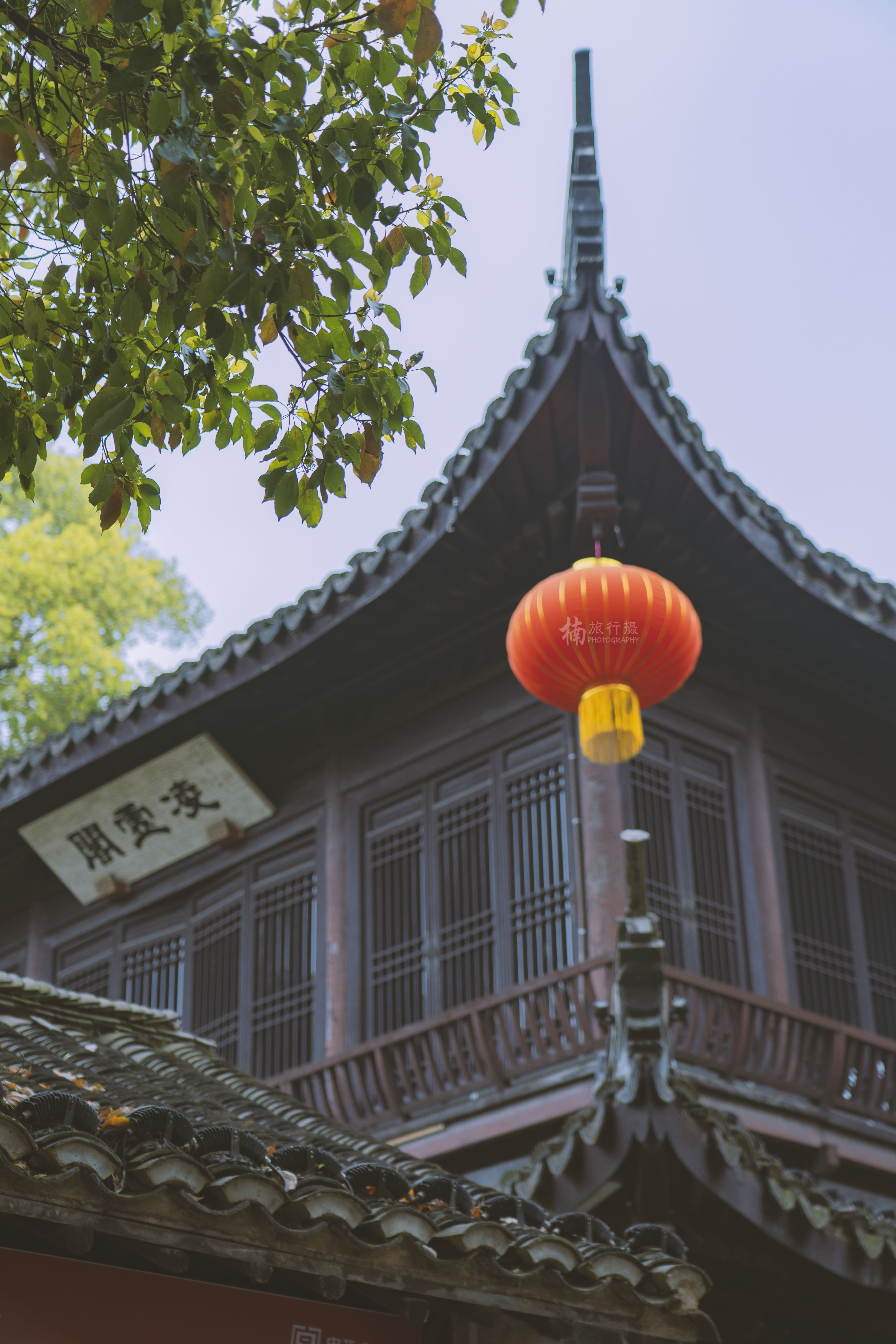 迟来的游记之二 花美，人更美，和美丽小姐姐一起游鼋头渚