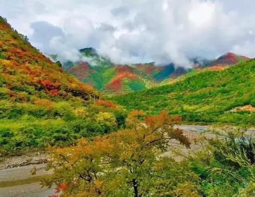 秦岭私藏2条自驾公路，秋季美成天堂，霸占北方最绚烂秋景